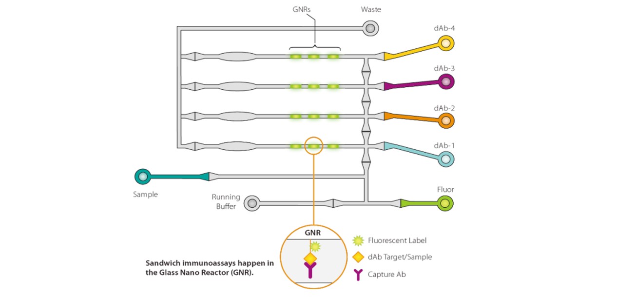 孔板微流控技术流程