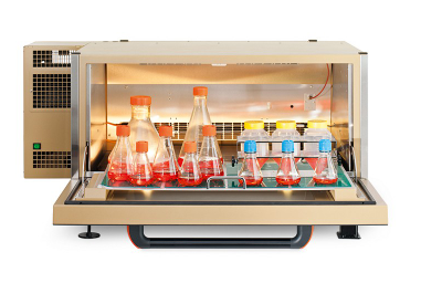 INFORS 静态培养箱