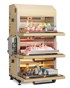 INFORS 静态培养箱