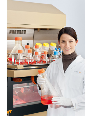 INFORS 静态培养箱