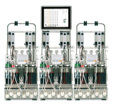 INFORS 平行生物反应系统