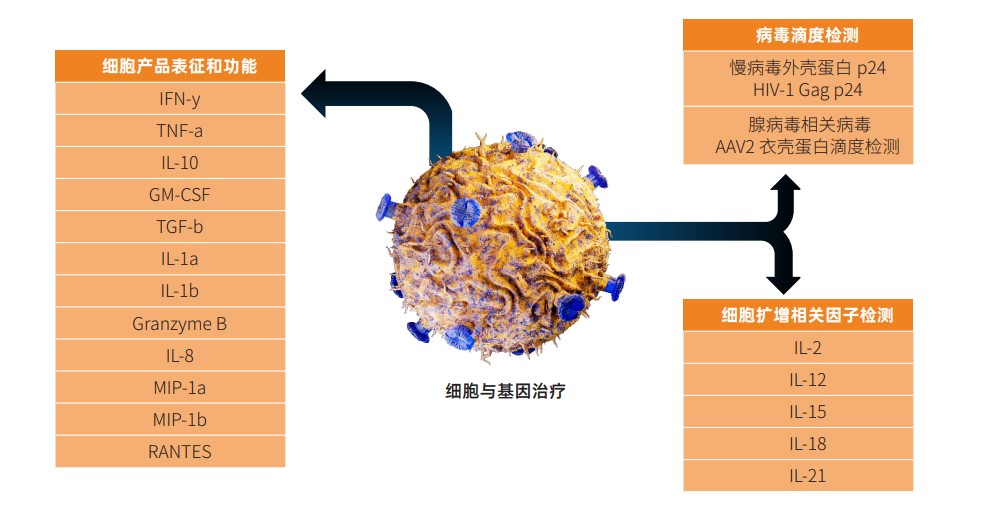 细胞与基因治疗