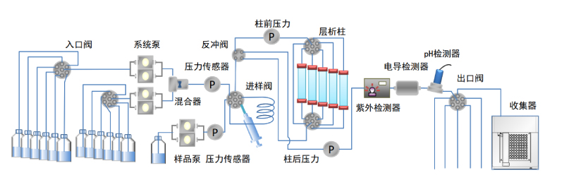 PPS-HD 蛋白纯化系统较高配置流路图